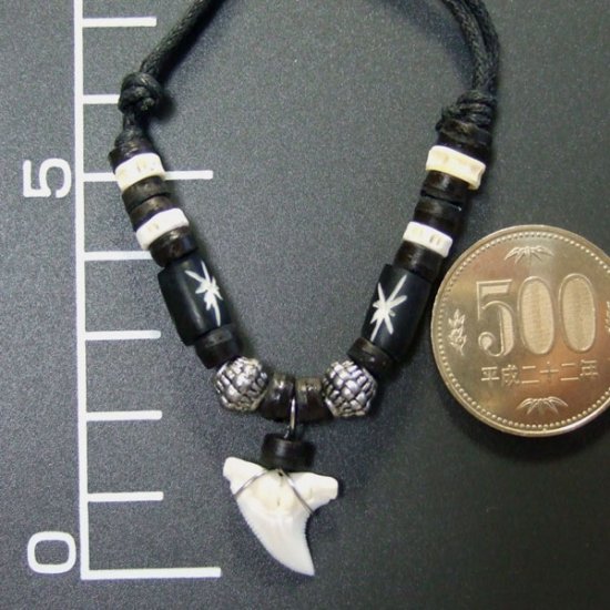 本物のサメの歯ネックレス - 20048etk