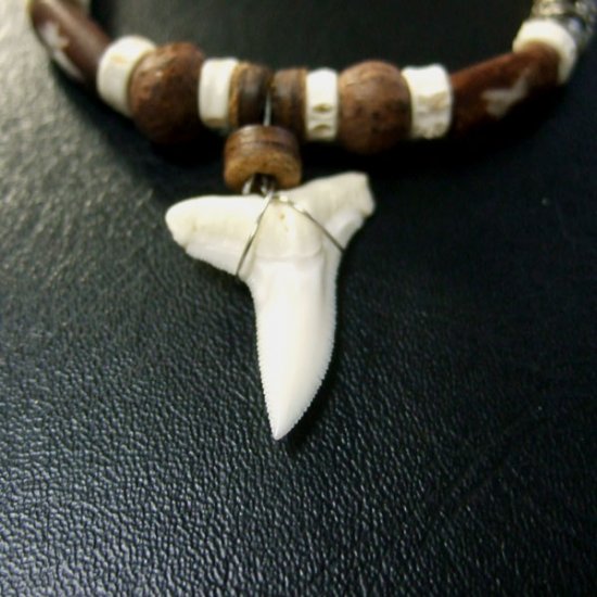 本物のサメの歯ネックレス - 20050etk