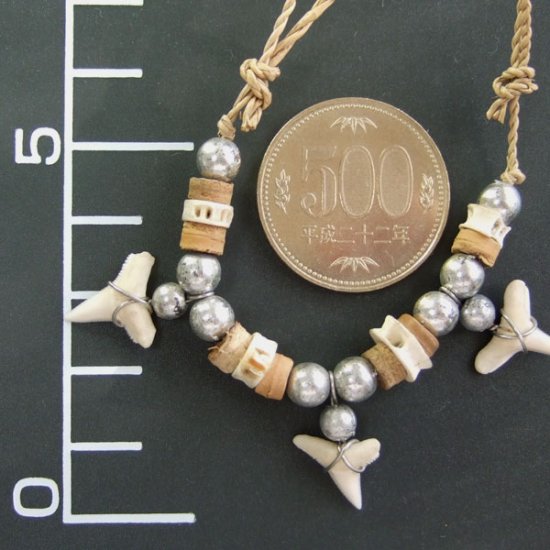 本物のサメの歯ネックレス - 20061esw