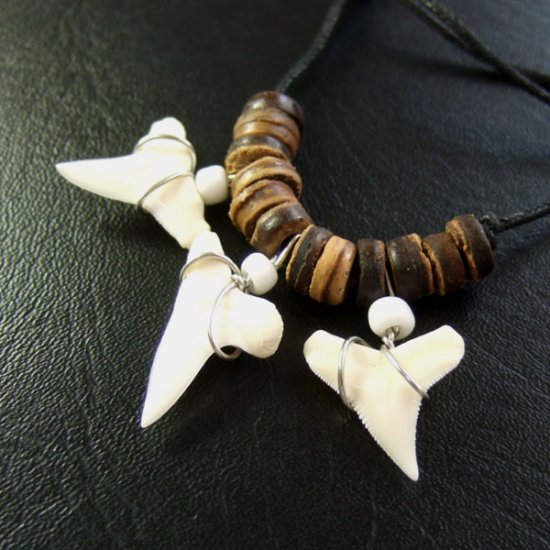 本物のサメの歯ネックレス - 20062esw