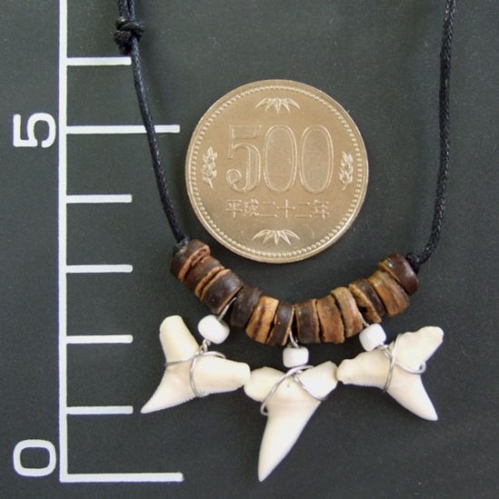 本物のサメの歯ネックレス - 20062esw