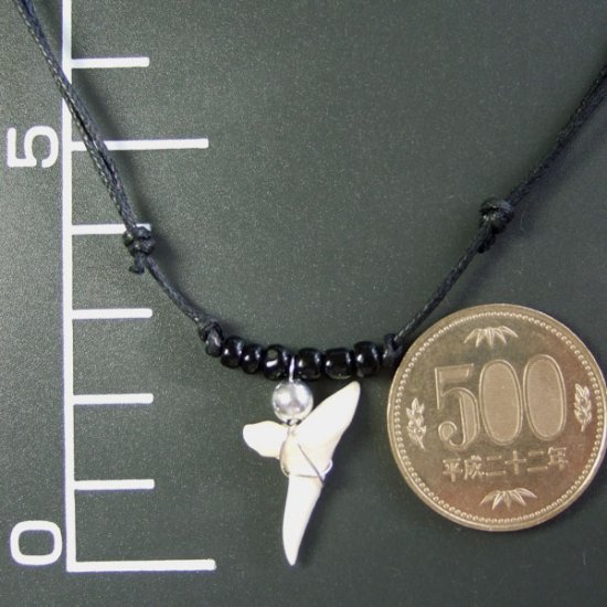 本物のサメの歯ネックレス - 20063esw