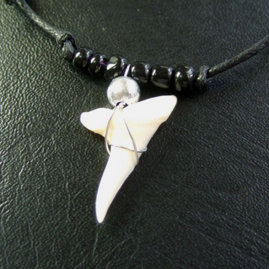 本物のサメの歯ネックレス - 20063esw