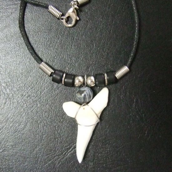 【大型 現品】3.9cm マコシャーク　本物のサメの歯ペンダントネックレス - 20070zhb