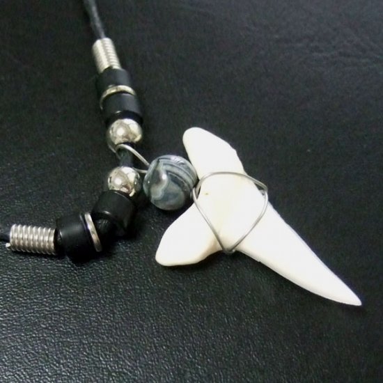 【大型 現品】3.9cm マコシャーク　本物のサメの歯ペンダントネックレス - 20070zhb