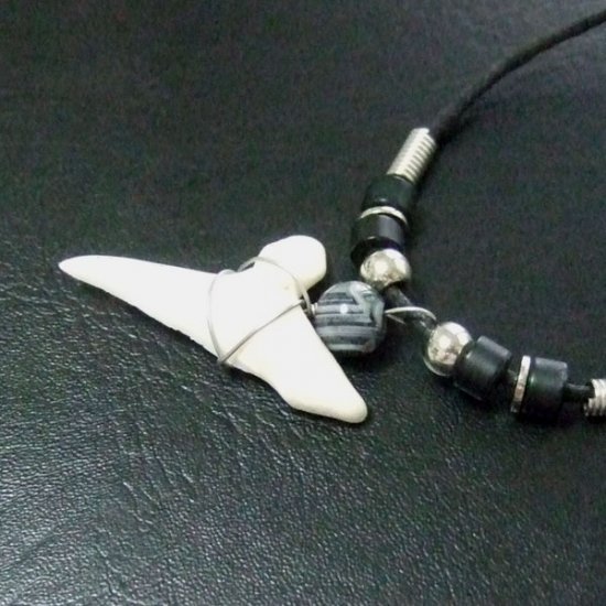 【大型 現品】3.9cm マコシャーク　本物のサメの歯ペンダントネックレス - 20070zhb