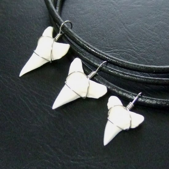 メジロザメの下あご サメの歯チョーカー【中】（2.2cm以上） - 20074zhb