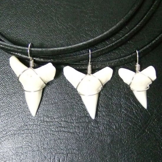 メジロザメの下あご サメの歯チョーカー【中】（2.2cm以上） - 20074zhb