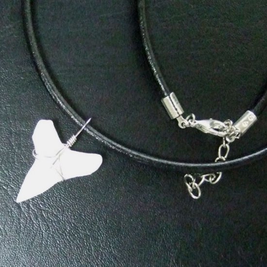 メジロザメの下あご サメの歯チョーカー【中】（2.2cm以上） - 20074zhb