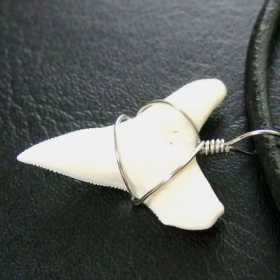 メジロザメの下あご サメの歯チョーカー【中】（2.2cm以上） - 20074zhb