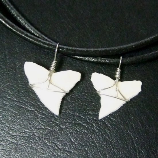 メジロザメの上あご サメの歯チョーカー【中】（2.2cm以上） - 20077zhb