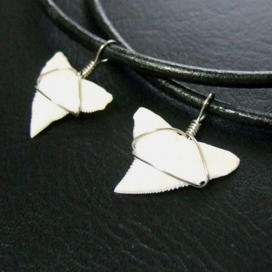 メジロザメの上あご サメの歯チョーカー【中】（2.2cm以上） - 20077zhb