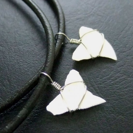 メジロザメの上あご サメの歯チョーカー【中】（2.2cm以上） - 20077zhb