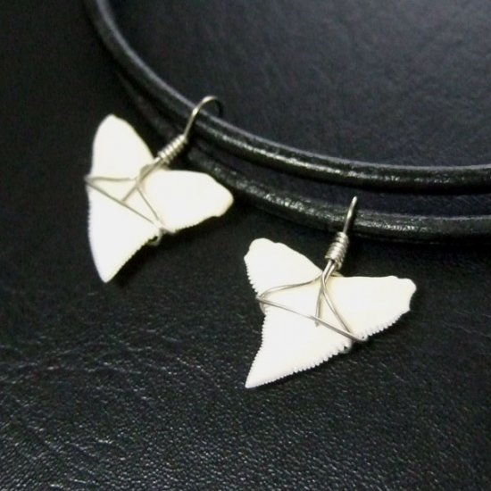 メジロザメの上あご サメの歯チョーカー【中】（2.2cm以上） - 20077zhb