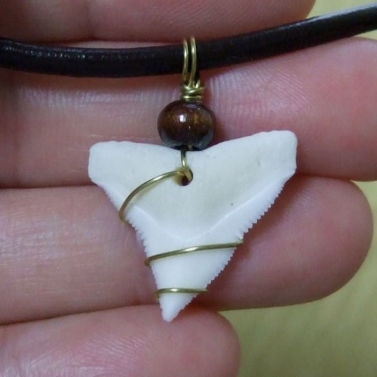 メジロザメ サメの歯チョーカー（約2.4cm） 茶色- 20085zhb