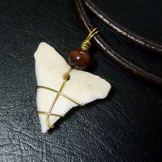 メジロザメ サメの歯チョーカー（約2.4cm） 茶色- 20085zhb