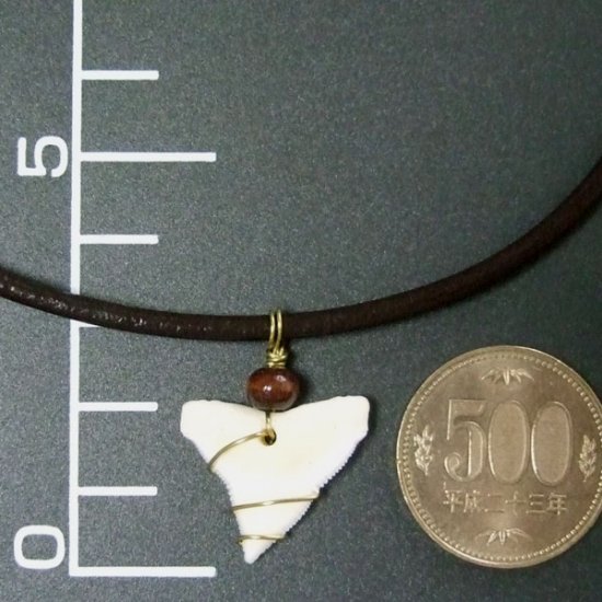 メジロザメ サメの歯チョーカー（約2.4cm） 茶色- 20085zhb