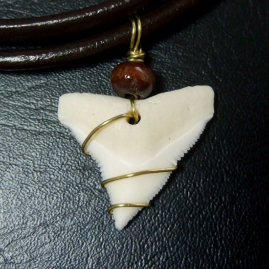メジロザメ サメの歯チョーカー（約2.4cm） 茶色- 20085zhb