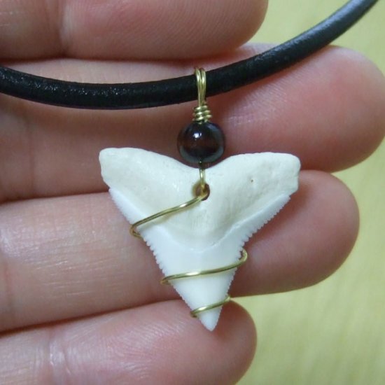 メジロザメ サメの歯チョーカー（約2.4cm） 黒色- 20086zhb