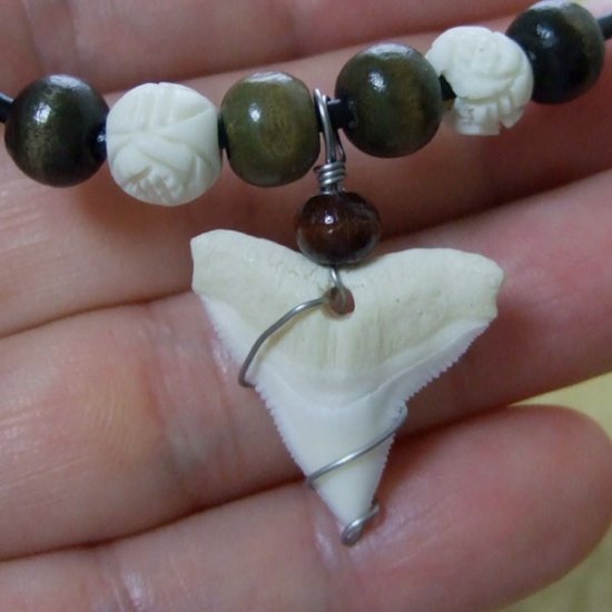 メジロザメ サメの歯チョーカー（約2.4cm） - 20087zhb