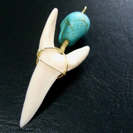 【表示現品】大サイズ アオザメの歯（約4.1cm）ペンダント - 20120zhb