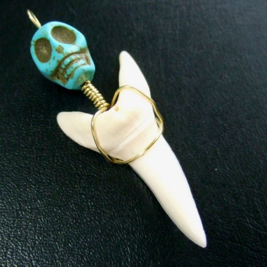 【表示現品】大サイズ アオザメの歯（約4.1cm）ペンダント - 20120zhb