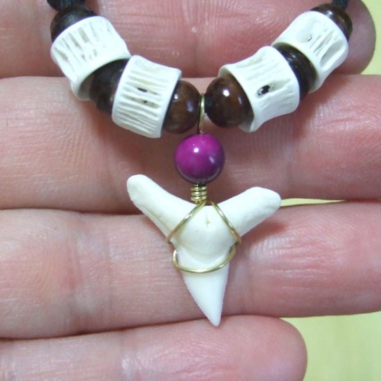 メジロザメ 本物のサメの歯ネックレス - 20125zhc