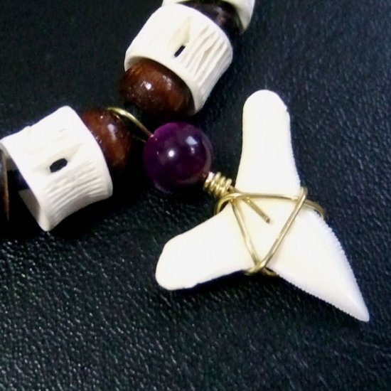 メジロザメ 本物のサメの歯ネックレス - 20125zhc