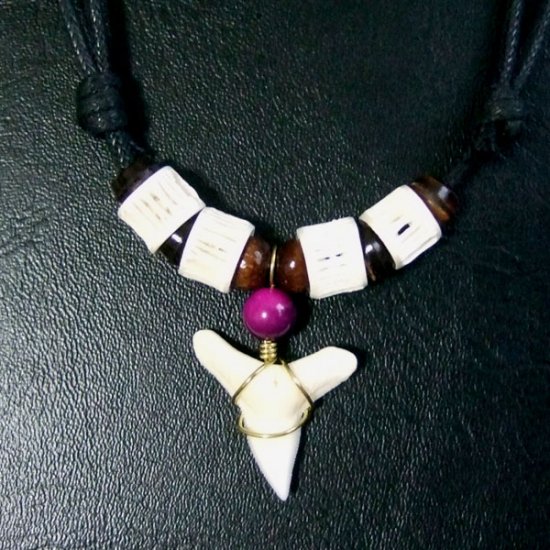 メジロザメ 本物のサメの歯ネックレス - 20125zhc