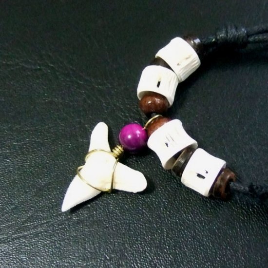 メジロザメ 本物のサメの歯ネックレス - 20125zhc