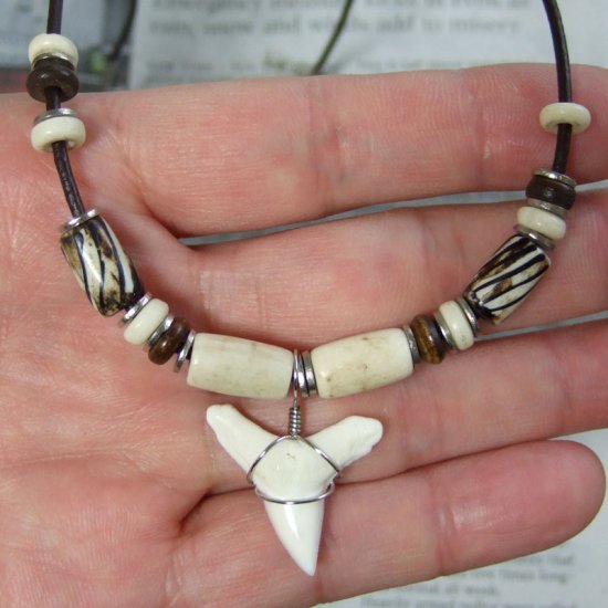 約2.5cm メジロザメ 本物のサメの歯ネックレス - 20144zhb