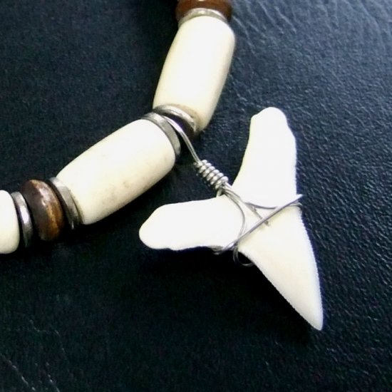 約2.5cm メジロザメ 本物のサメの歯ネックレス - 20144zhb