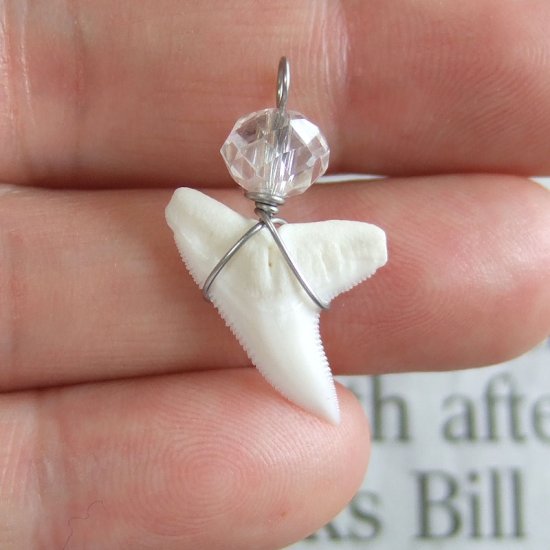 メジロザメの歯 水晶ビーズネックレス - 20161zhc