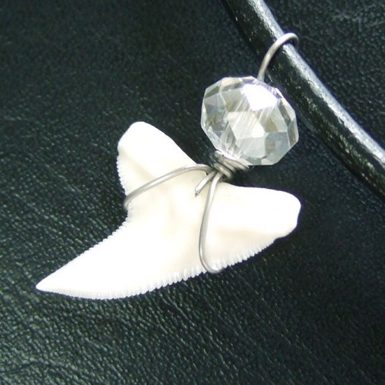 メジロザメの歯 水晶ビーズネックレス - 20161zhc