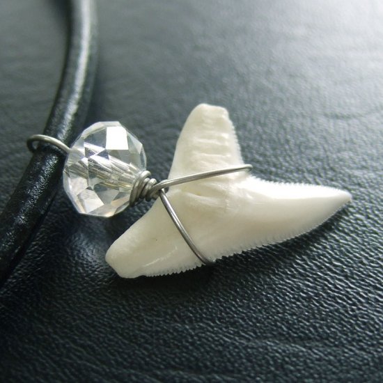 メジロザメの歯 水晶ビーズネックレス - 20161zhc