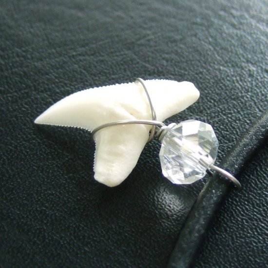 メジロザメの歯 水晶ビーズネックレス - 20161zhc