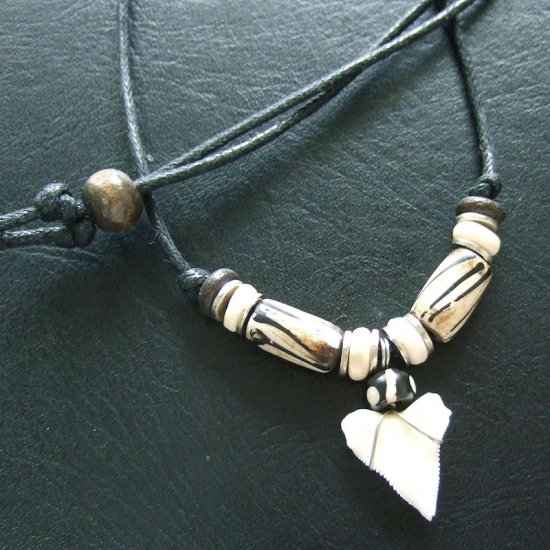 メジロザメ 本物のサメの歯ネックレス - 20166zhd