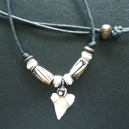 メジロザメ 本物のサメの歯ネックレス - 20166zhd