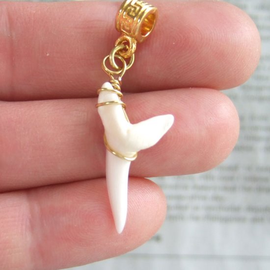 アオザメの歯（約2.4cm） - 20183zhc