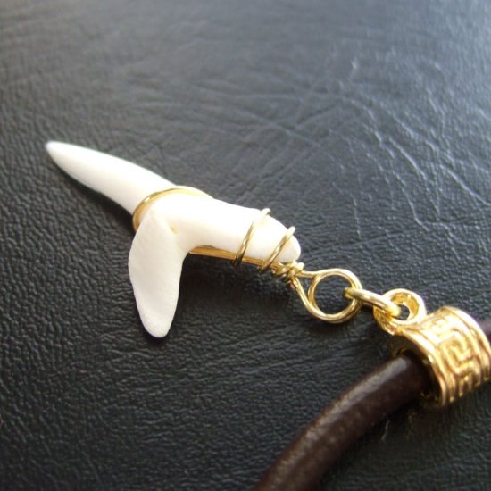 アオザメの歯（約2.4cm） - 20183zhc