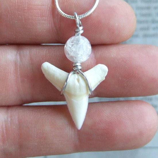 サメの歯ペンダント(メジロザメ下あご中) - 20204zhc