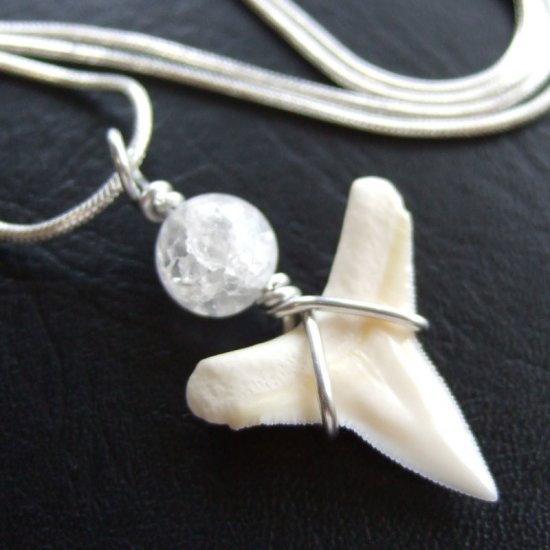 サメの歯ペンダント(メジロザメ下あご中) - 20204zhc