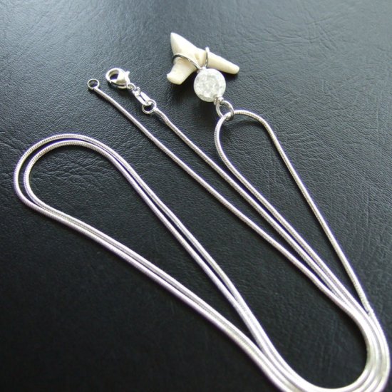 サメの歯ペンダント(メジロザメ下あご中) - 20204zhc