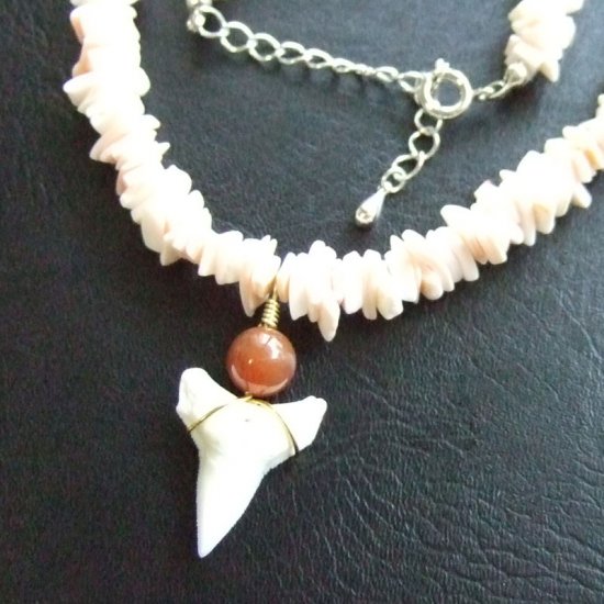 メジロザメの歯と貝殻ビーズのネックレス - 20266zhc