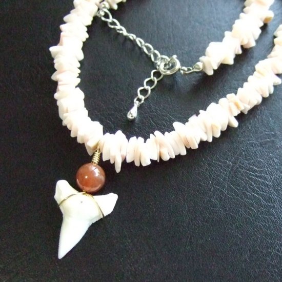 メジロザメの歯と貝殻ビーズのネックレス - 20266zhc