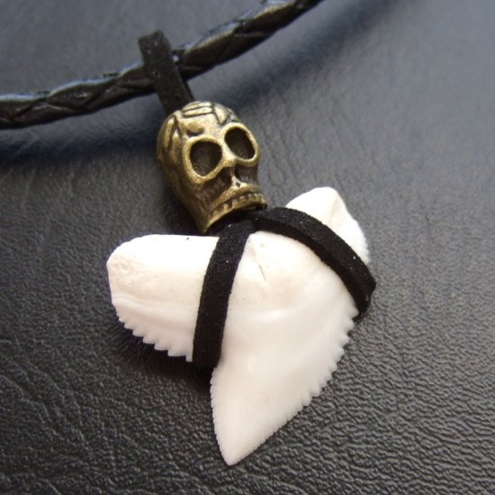 【表示現品】2.8cm イタチザメ（タイガーシャーク）の歯ペンダント - 20288zhb