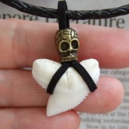 【表示現品】2.8cm イタチザメ（タイガーシャーク）の歯ペンダント - 20288zhb