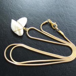 イタチザメの歯（約2.2cm） - 20349zhb