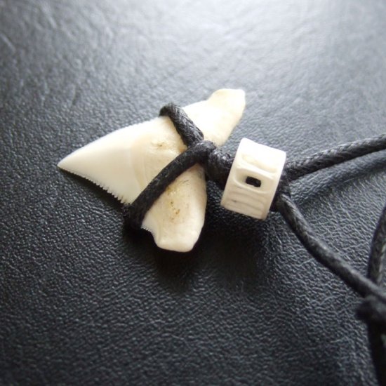 【表示現品】2.3cm メジロザメの上あごの歯ペンダント - 20355zhb