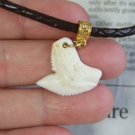 イタチザメ（タイガーシャーク）の歯チョーカー 2.5 cm - 20361zhb